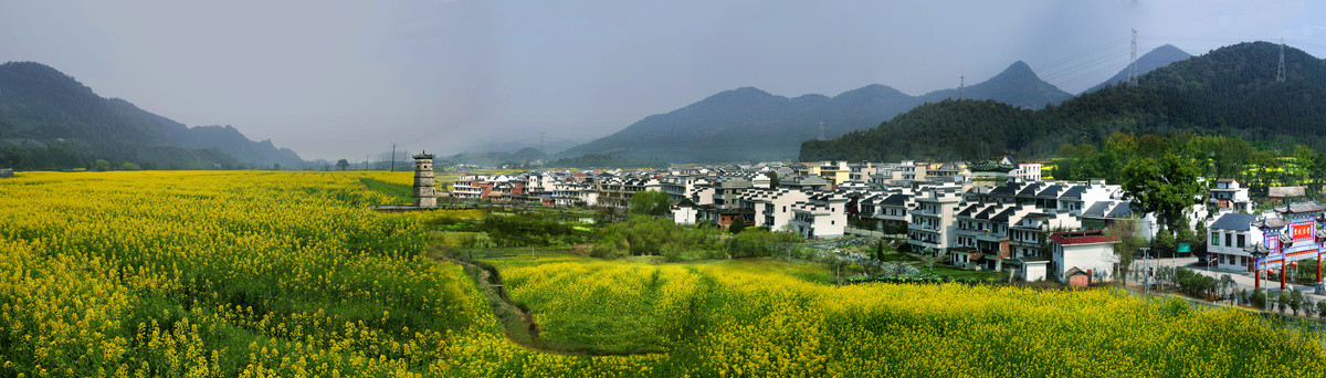 乡村风光