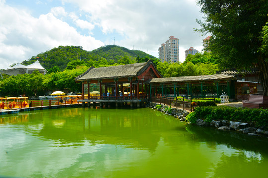 东湖风景