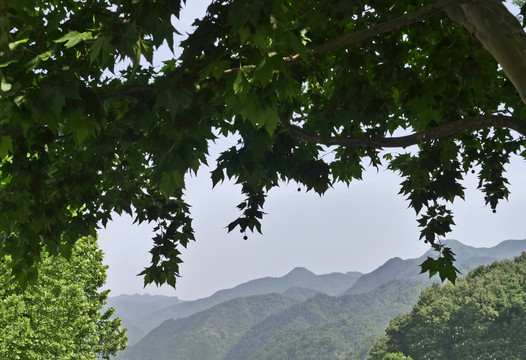 远方的山景