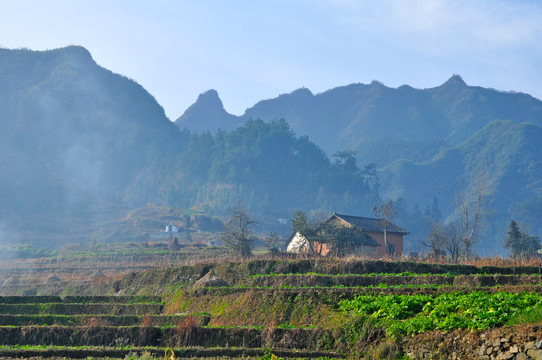 天台山A