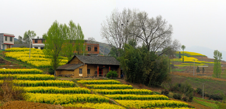 中峰风景BC