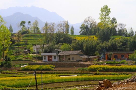 中峰风景BG