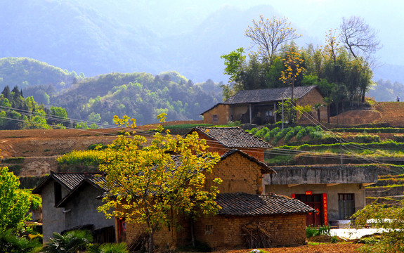 中峰风景BL