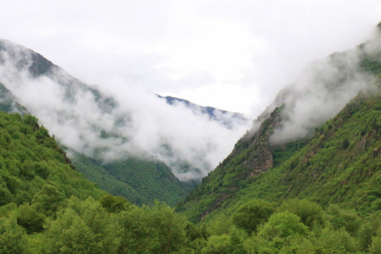 西藏拉姆拉措湿地公园高山云雾