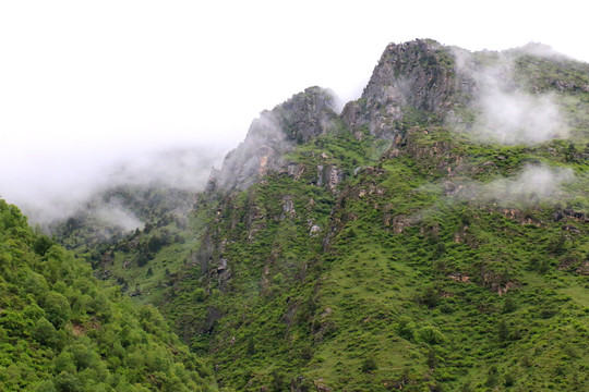 西藏拉姆拉措湿地公园高山云雾