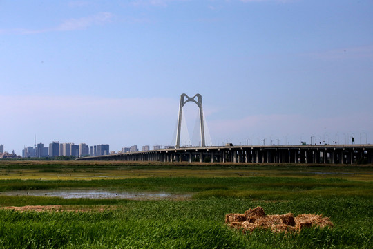 大庆湿地景观