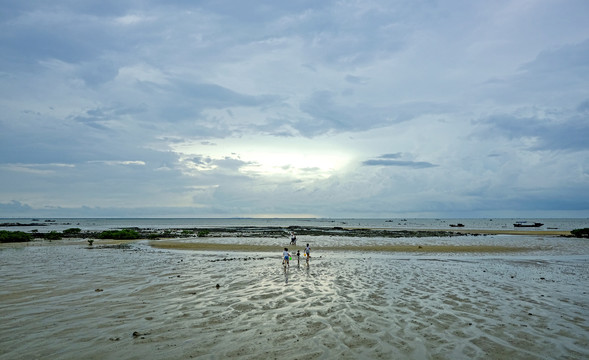 海边涂滩