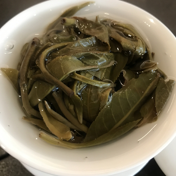 老班章普洱茶 泡开的茶汤