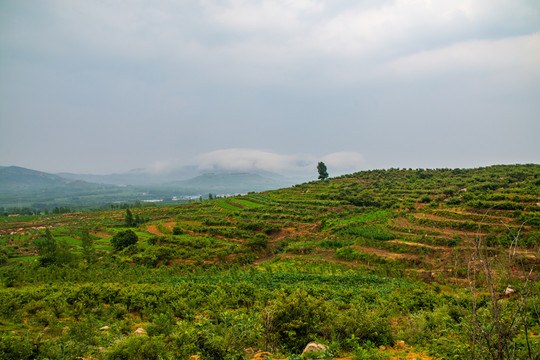 山区风光