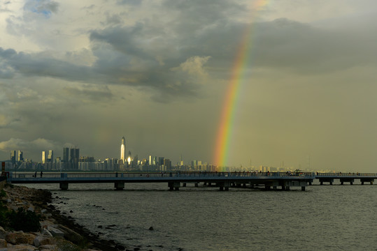 深圳湾