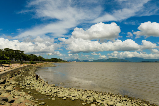 深圳湾海岸