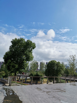 雨后蓝天