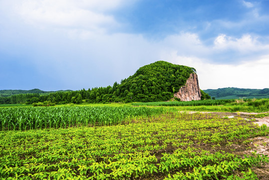 远山绿树田园