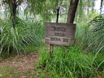 危险水深危险