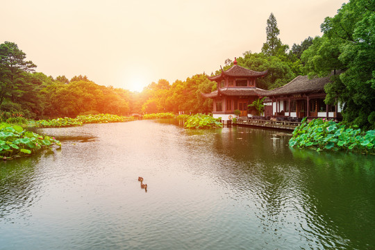 杭州西湖夏天曲院风荷落日黄昏