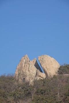 昆嵛山三瓣石