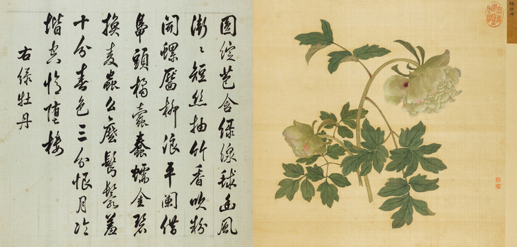 蔣廷錫題詞牡丹圖