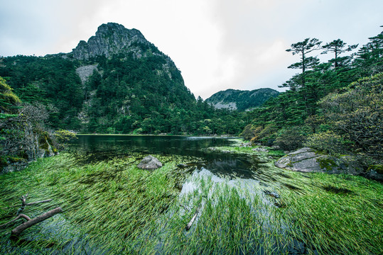 螺髻山水草湖