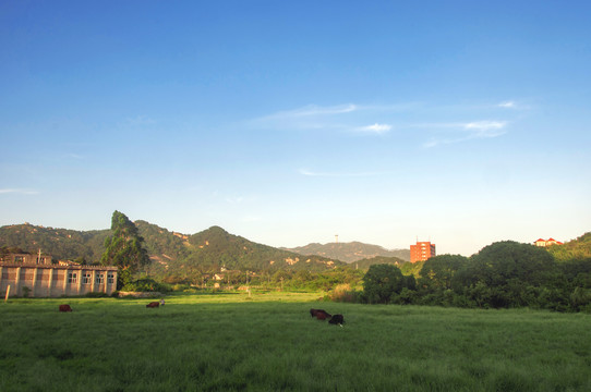 天然草场风景