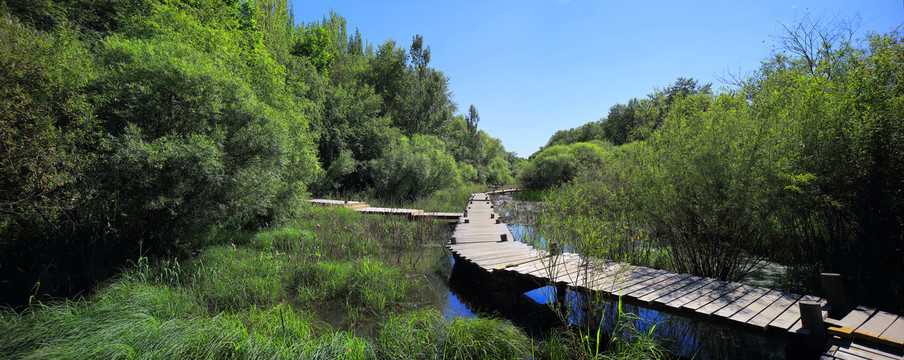 林間小路