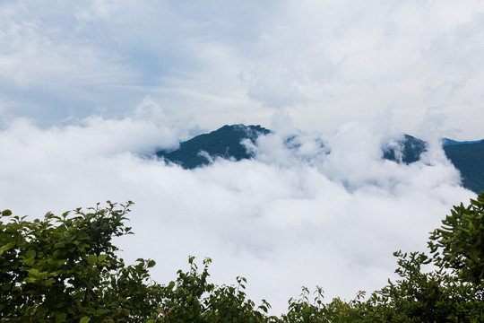 汉中龙头山高山森林云海