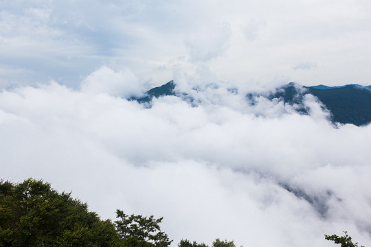 汉中龙头山高山森林云海