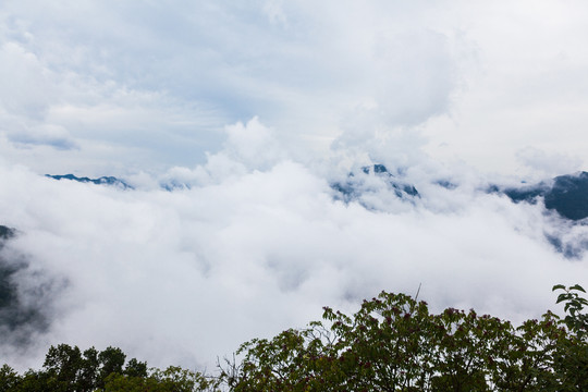 汉中龙头山高山森林云海