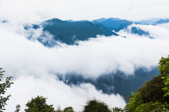 汉中龙头山高山森林云海