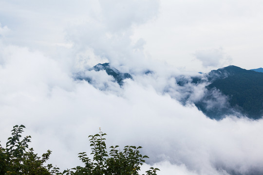 汉中龙头山高山森林云海