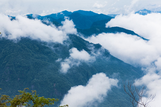 汉中龙头山高山森林云海