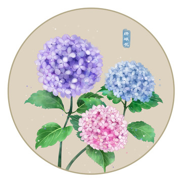 繡球花
