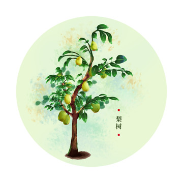 梨樹