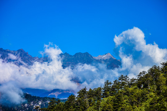 高山云海