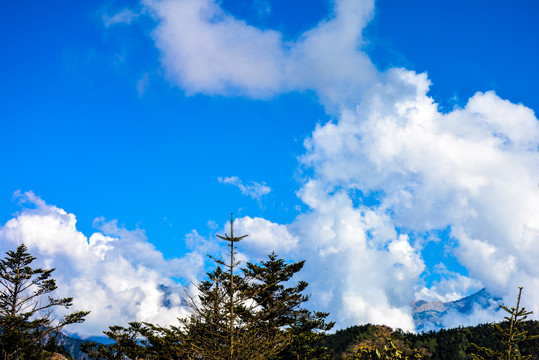 高山云海