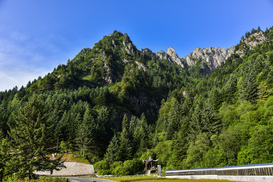 莲花山