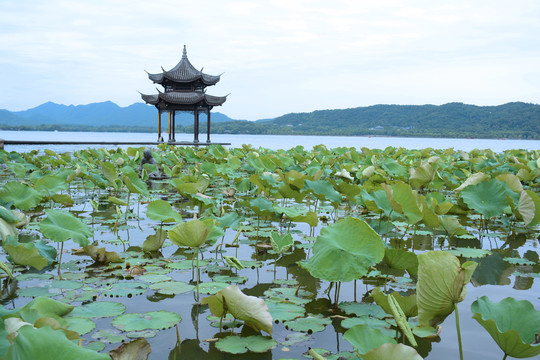 杭州西湖