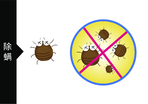 螨虫除螨
