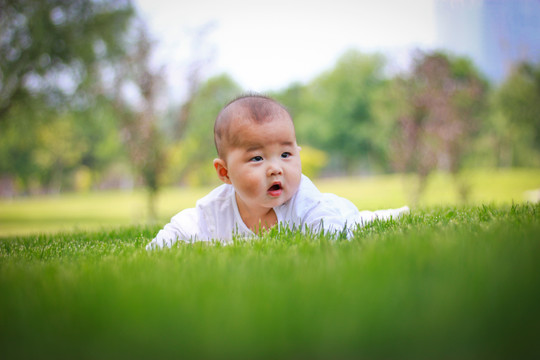 草地上的婴儿