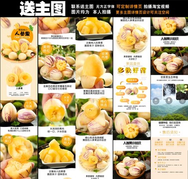 人參果詳情頁(yè)設(shè)計(jì)