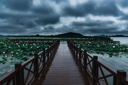 暴风雨来临之前