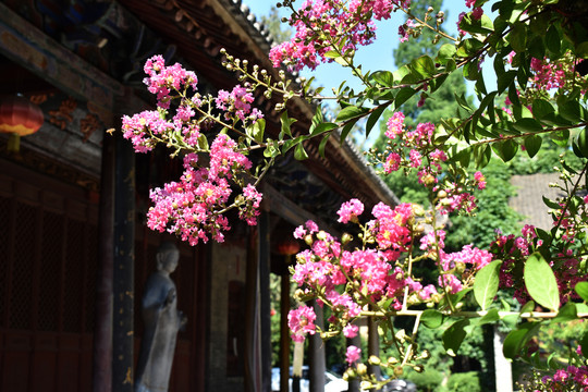 护国兴教寺