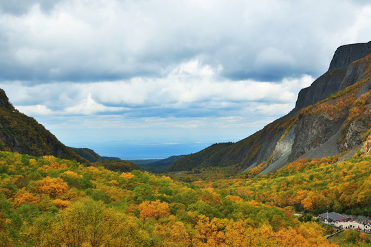 长白山火山地貌秋季岳桦林