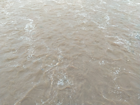 黄河的水