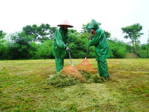 雨中园林工