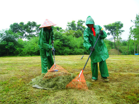 雨中园林工人