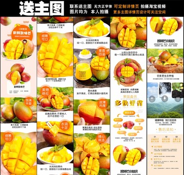 凱特芒詳情頁