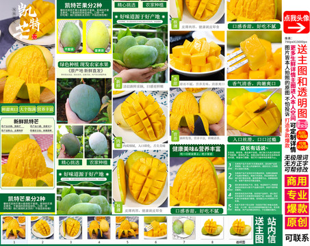 凱特詳情頁
