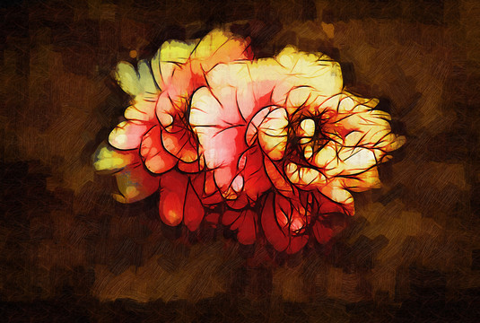 牡丹花油畫(huà)