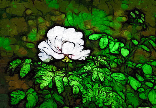 牡丹花油畫