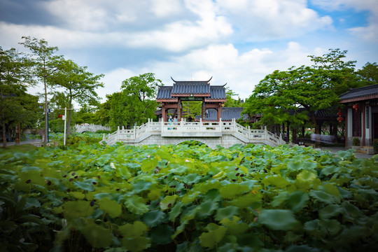 中国广东省惠州市丰渚园景区